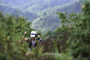 BIB: 
                            <button type="button" onclick="openModal(24764742)" class="btn btn-primary btn-sm float-right btn-popup" data-toggle="modal" data-target=".modal-high-quality">
                        <i class="fas fa-shopping-cart"></i> Add to Cart
                    </button>
                                            <button type="button" onclick="isThisMe(24764742, true)" class="btn btn-success btn-sm float-right btn-popup btn-isme hidden" data-toggle="tooltip" data-placement="bottom" title="นี่คือรูปของคุณใช่ไหม คลิกที่นี่เพื่อเอาเข้าอัลบั้ม">
                        <i class="fas fa-plus"></i> Add to album
                    </button>
                    <button type="button" onclick="isThisMe(24764742, false)" class="btn btn-warning btn-sm float-right btn-popup btn-isnotme hidden">
                        <i class="fas fa-ban"></i> Remove from album
                    </button>